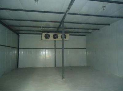 冷凍庫(kù)工程案例